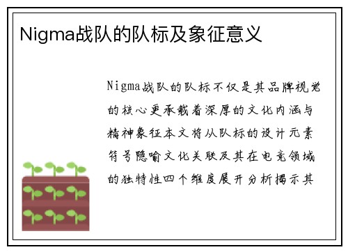 Nigma战队的队标及象征意义