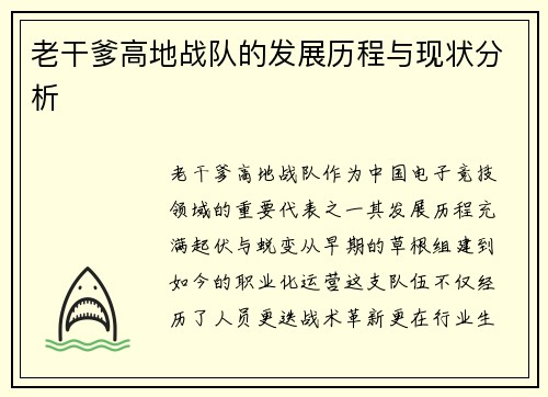 老干爹高地战队的发展历程与现状分析